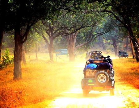 IMG-20250331-WA0066(2)