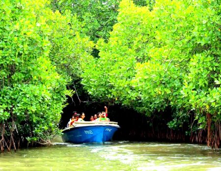 IMG-20250401-WA0229(1)