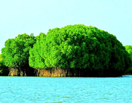 IMG-20250401-WA0230(1)