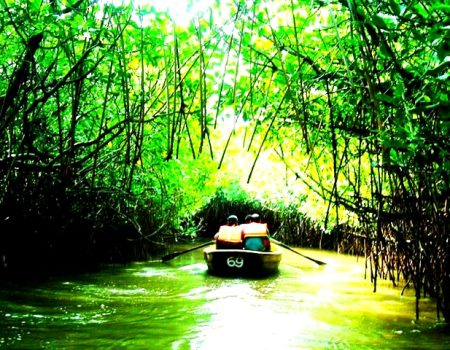 IMG-20250401-WA0231(1)