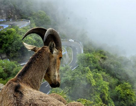 aslam-mac-SEETMyCgUTs-unsplash[1]